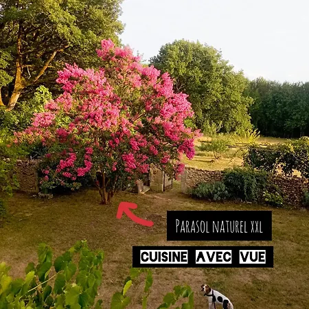 Maison Bel Air De Caractere Perigord Nature Σπίτι διακοπών *
